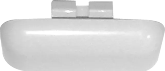 Picurător